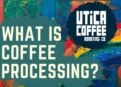 What Is Coffee Processing?