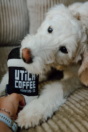Utica Coffee Dog Toy