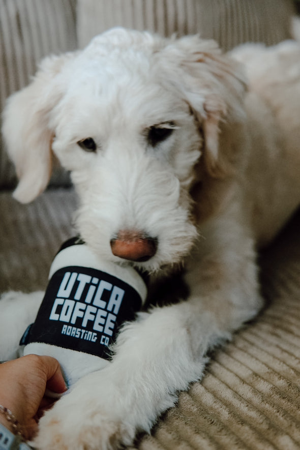 Utica Coffee Dog Toy