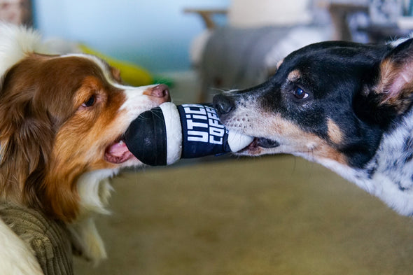 Utica Coffee Dog Toy