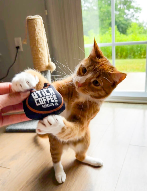 Cat Toy